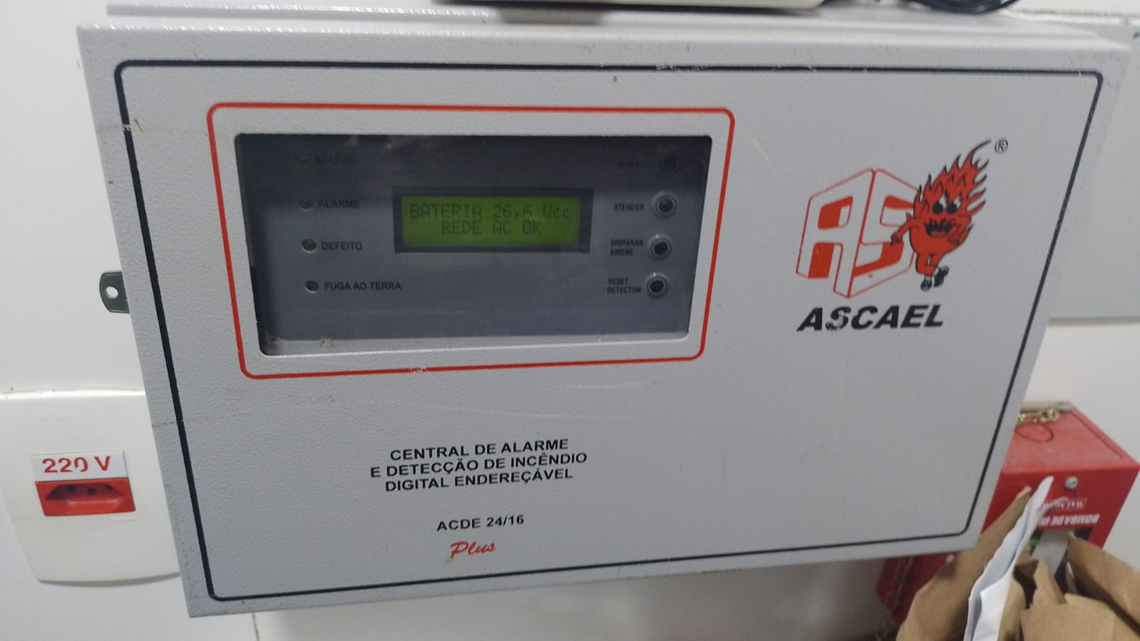 WhatsApp Image 2023-11-01 at 10.34.04.jpeg